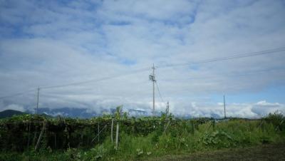 2011-9-22畑.jog (7)