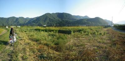 2011-10-3大豆1