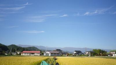 2011-10-19たんぼ