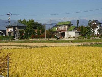 2011-10-19たんぼ