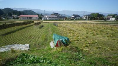 2011-10-20たんぼ