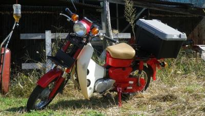 2011-10-24赤かぶ