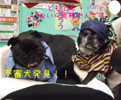 20130602003.jpg