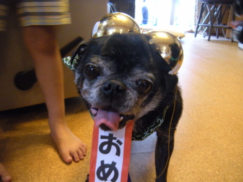 20130630027.jpg