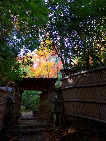 01P1050436.jpg