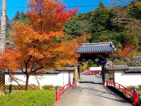 02P1040613.jpg