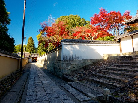 05P1050820.jpg