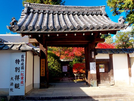 06P1050821.jpg