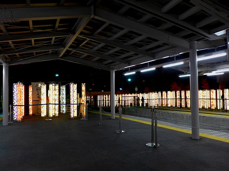 26P1060447.jpg