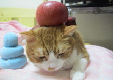 20131129 11