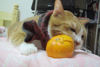20131129 13