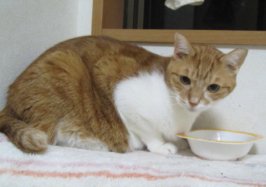 20131202 1