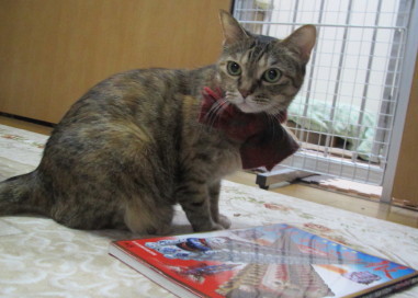 20131204 3