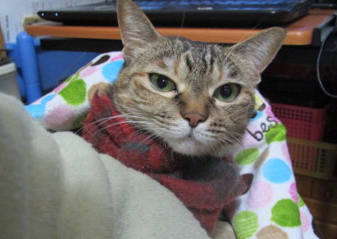 20131204 9