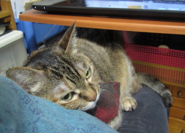 20131204 10