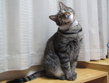 20131207 1