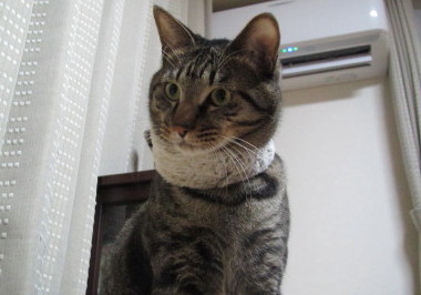 20131207 4