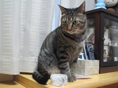20131207 5