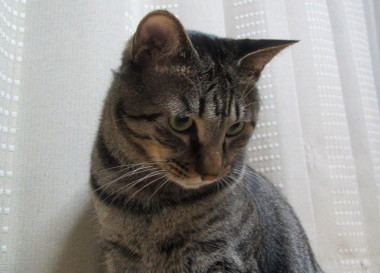 20131212 1