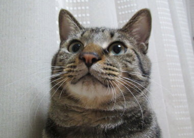 20131212 3