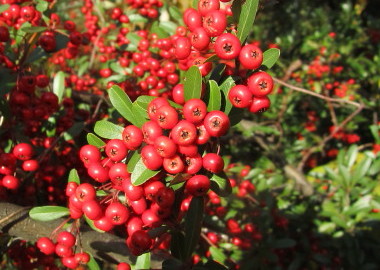 20131215 5