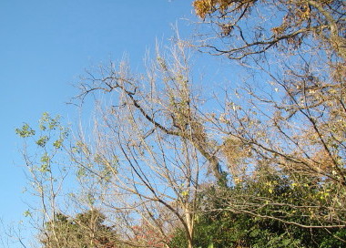 20131215 7