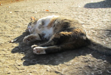 20131215 8