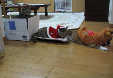 20131218 1