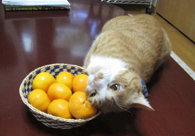 20131221 1
