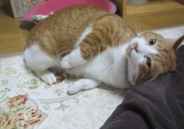 20131221 2