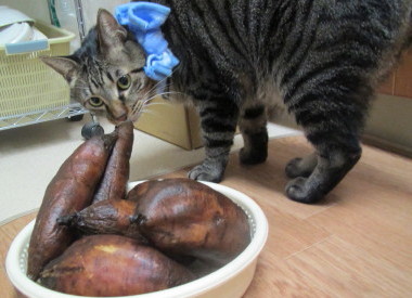 20131221 6