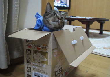 20131221 7