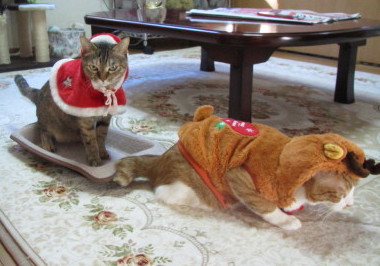 20131223 5