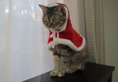 20131223 6
