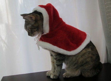 20131223 7