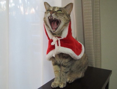 20131223 8