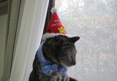 20131225 1