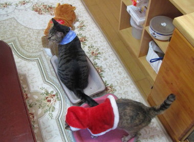 20131225 4