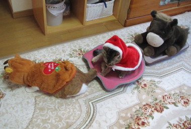 20131225 7