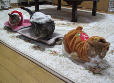 20131225 8