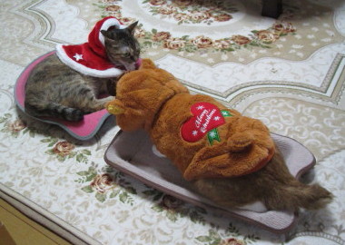 20131225 10