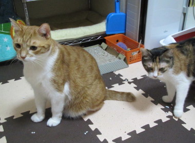 20131226.jpg