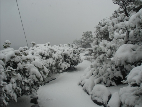 CIMG8641_R_201402082336359f2.jpg