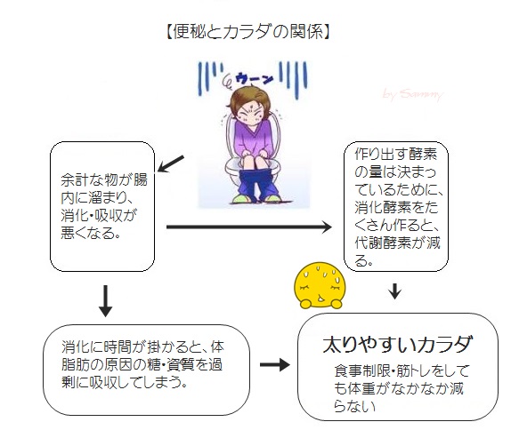 便秘とカラダの関係