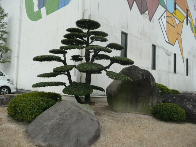 P1070151.jpg
