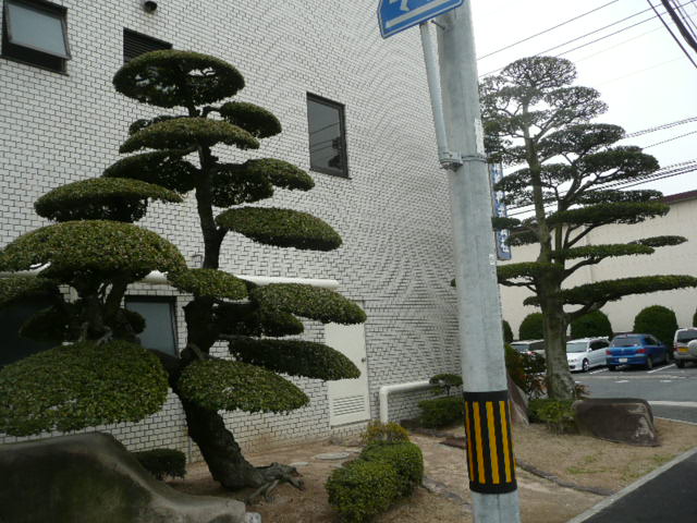 P1070152.jpg