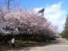 IMG_0372_20120407011859.jpg