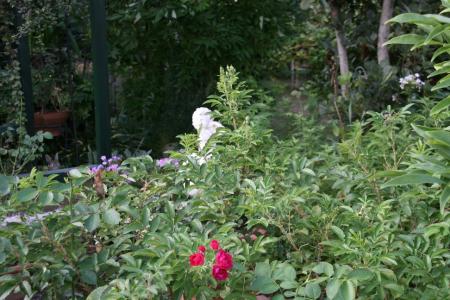 2011-08-22_14.jpg