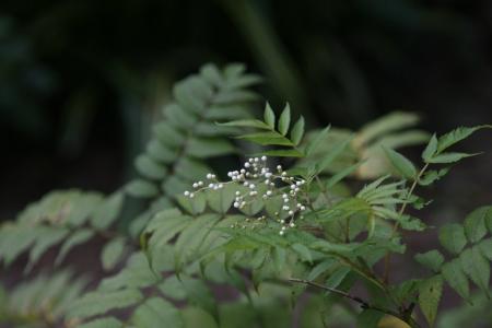 2011-08-22_28.jpg