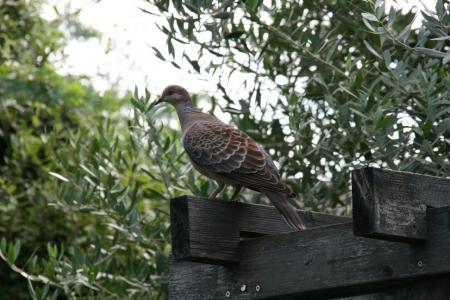 2011-08-27_09.jpg